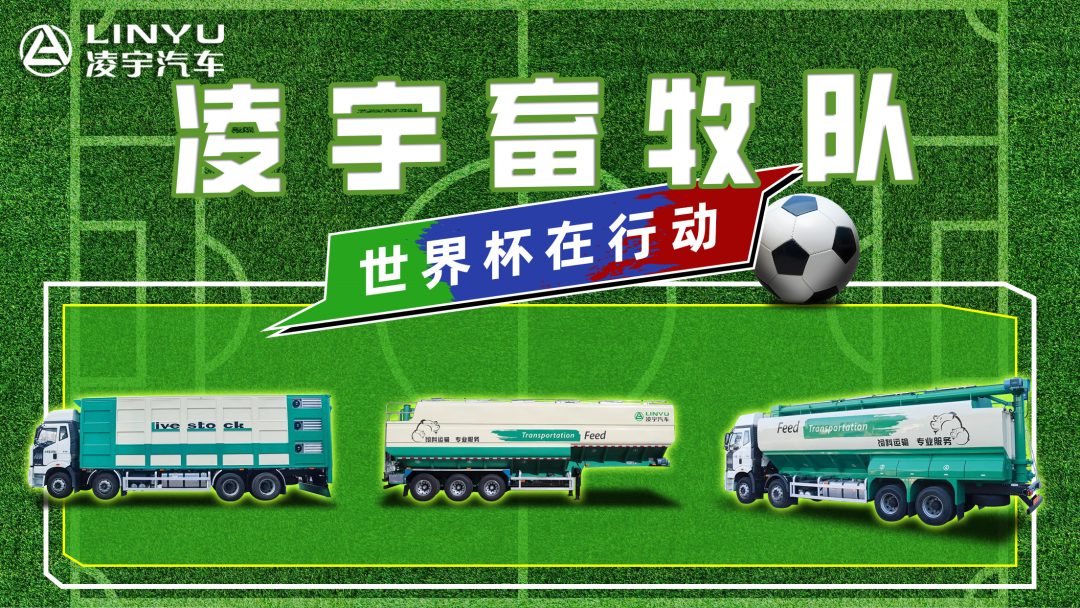 奪冠世界杯！你注意到這支球隊(duì)了嗎？